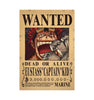 One Piece Bounty Wanted Poster